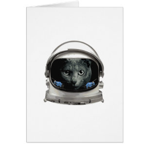 Chat d'astronaute de casque d'espace