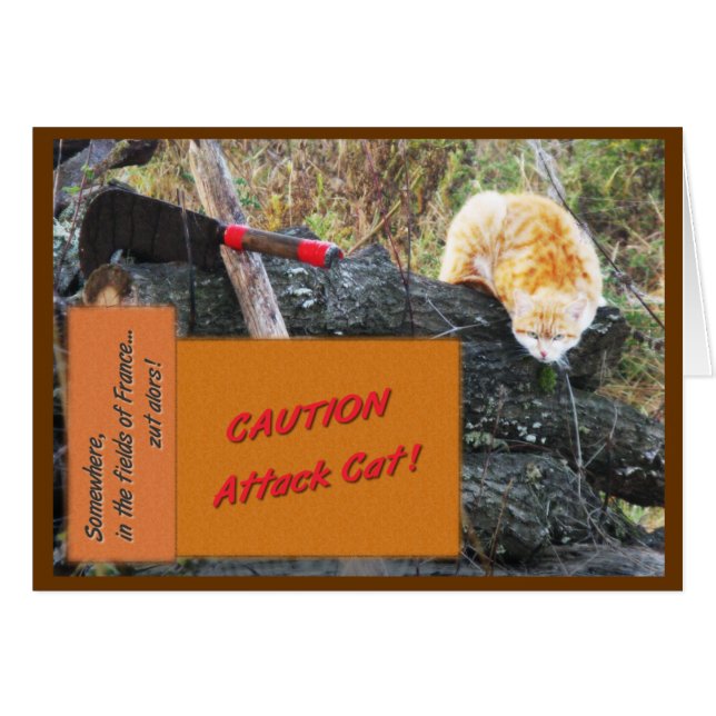 Chat d'attaque (Devant horizontal)