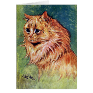 Chat de confiture d'oranges avec des yeux bleus