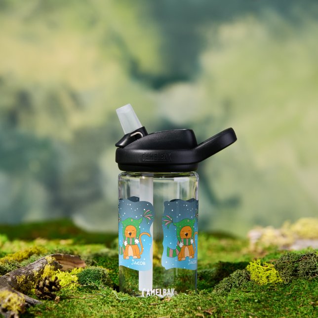 Chat de gingembre dans la bouteille d'eau pour les (Extérieur)