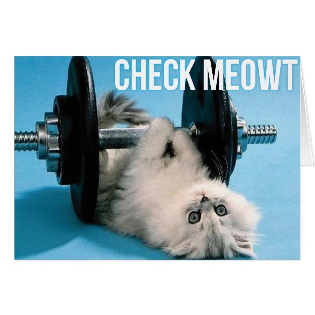 Chat de gym sympa - Check Meowt (Devant horizontal)