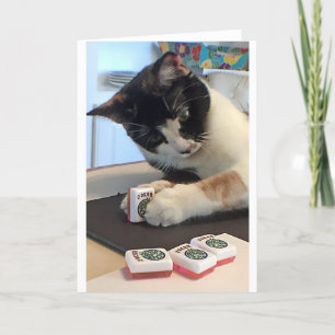 Chat de joker de carte pour notes