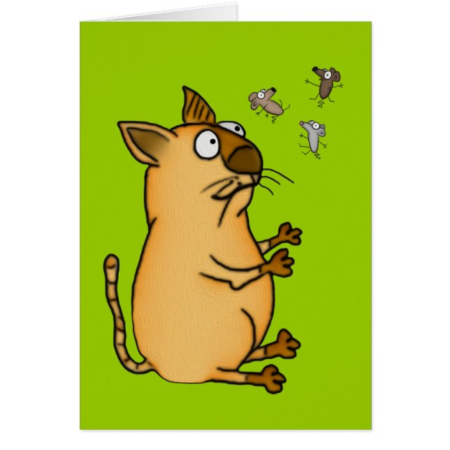 Chat de jonglerie (Devant)