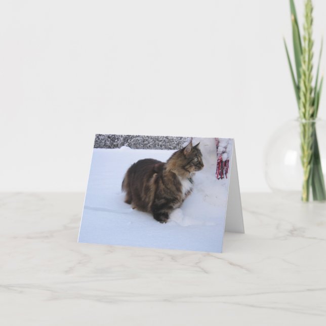 chat de la forêt norvégienne dans la neige (Devant)