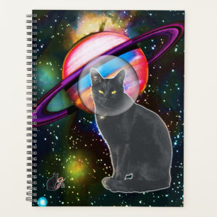 Chat de l'Espace Cosmo