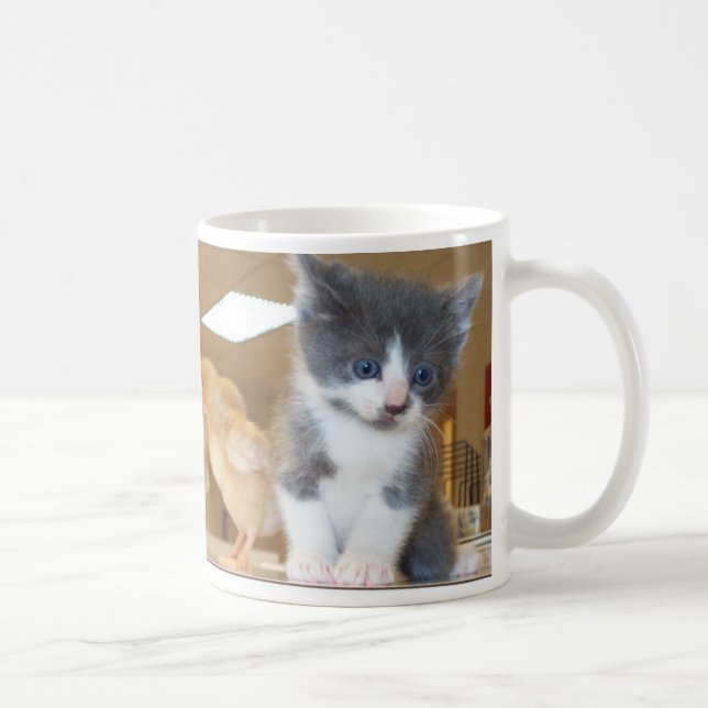 Chat de monstre - chaton avec la tasse de poussins (Droite)