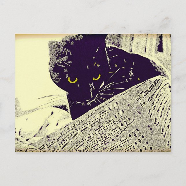 Chat de musique - Carte postale (Devant)