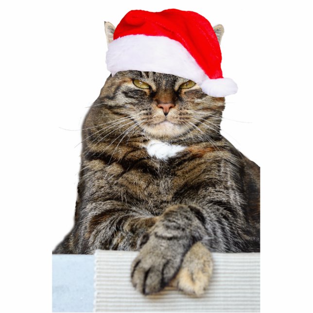 Chat de Noël Humbug Photo Sculpture Ornement (Devant)