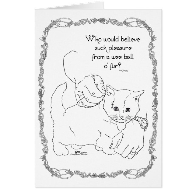 Chat de plaisance (Devant)