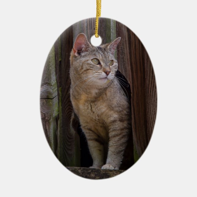 chat de porcelaine ornement lookout (Devant)