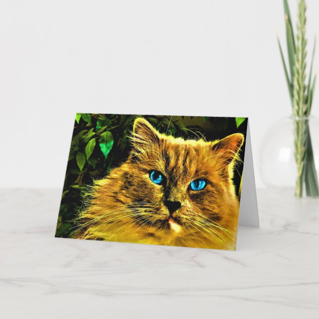 Chat de poupée, carte (Devant)