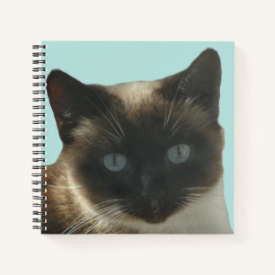 Chat de Siamese avec Carnet Bleu clair yeux