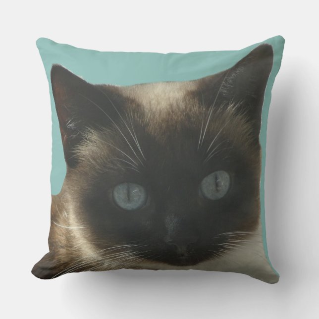 Chat de Siamese avec Coussin d'yeux bleu vif (Recto)