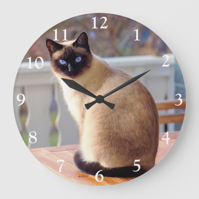 Chat de Siamese avec yeux bleus Grande horloge (Recto)