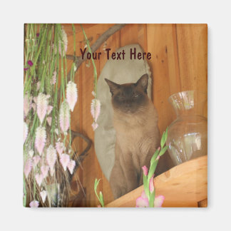 Chat de Siamese Poster de la photo d'animal Magnet