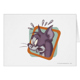 Chat de Tom Scaredy