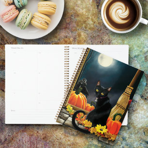 Chat d'Halloween noir