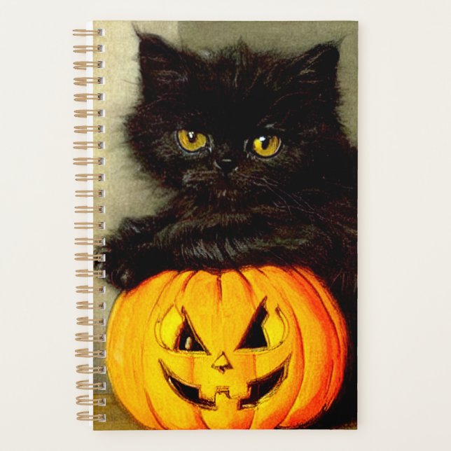 Chat d'Halloween vintage et lanterne Jack-o’ (Devant)