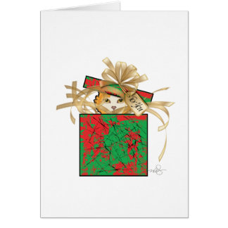Chat d'orange - Surprix cadeau de Noël