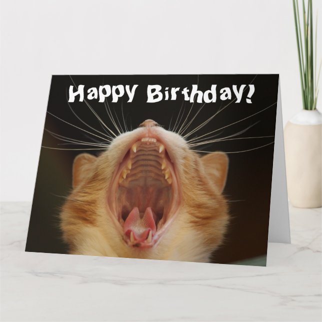 Chat drôle Bonne Carte d'Anniversaire (Devant)