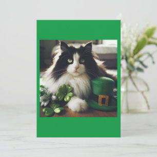 Chat du jour de St. Patty