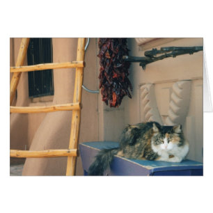 Chat du Nouveau Mexique