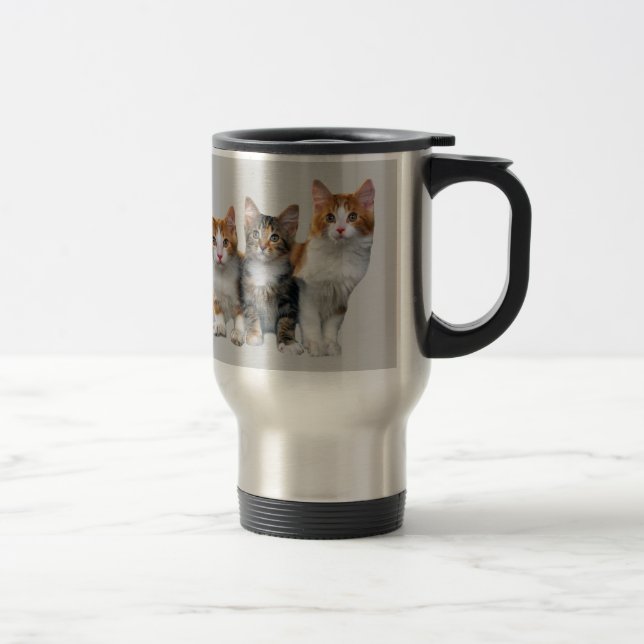 Chat en dehors de la tasse de boîte (Droit)