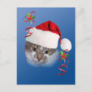 Chat en Santa Hat Carte postale