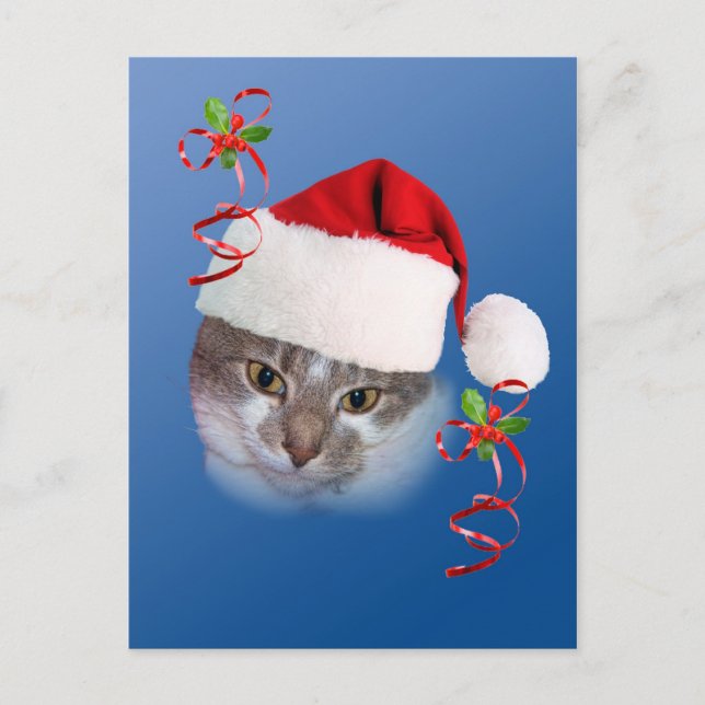 Chat en Santa Hat Carte postale (Devant)