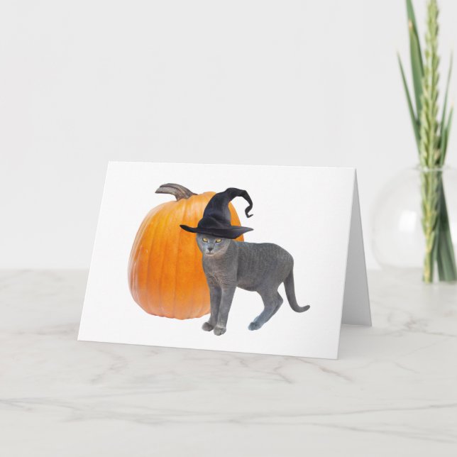 Chat en sorcière grise avec carte d'Halloween Citr (Devant)