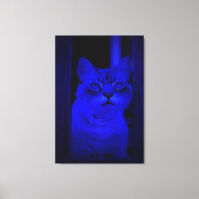 Chat en toile blanche à effet de lumière bleue (Recto)