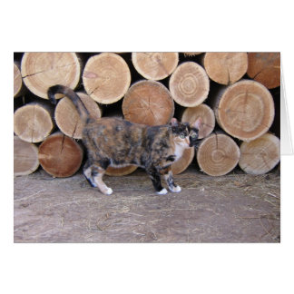 Chat et carte en bois