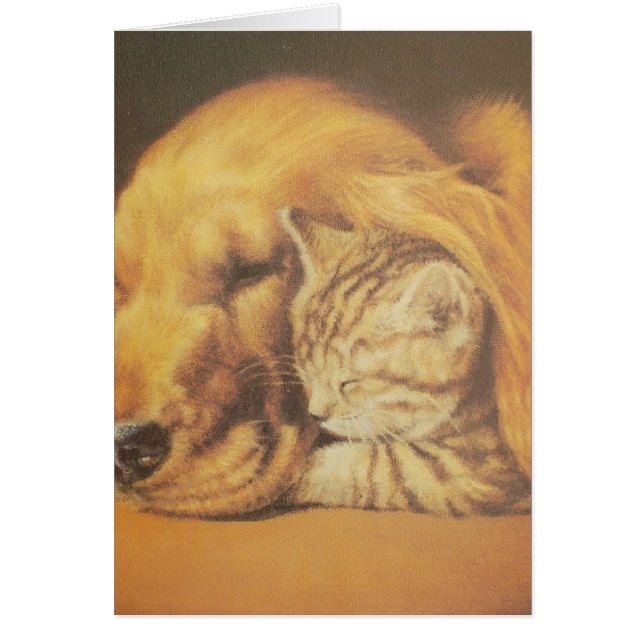 Chat et chien (Devant)