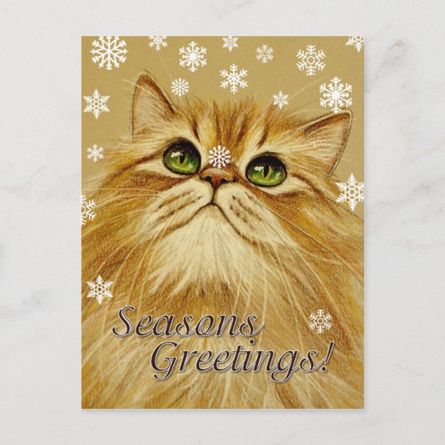 Chat et neige Joyeuses Fêtes - Carte postale (Devant)