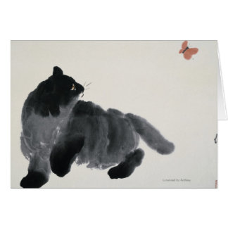 Chat et papillon