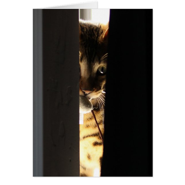 Chat et souris (Devant)