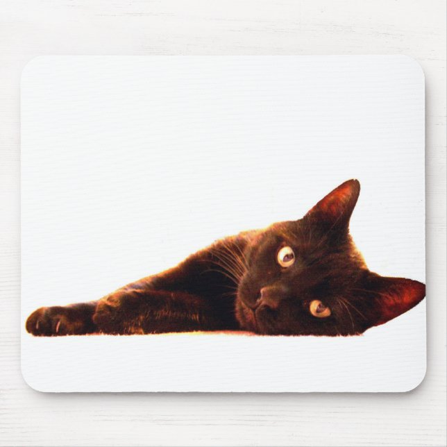 Chat et tapis de souris (Devant)