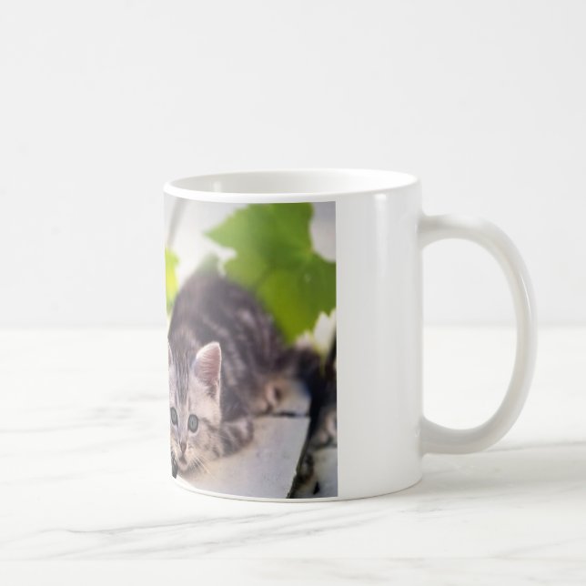 Chat et tasse de meilleurs amis de lapin (Droite)