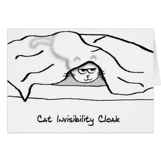 Chat fâché dans les draps - il est invisible (Devant horizontal)