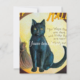 Chat Falln Joyeux Halloween