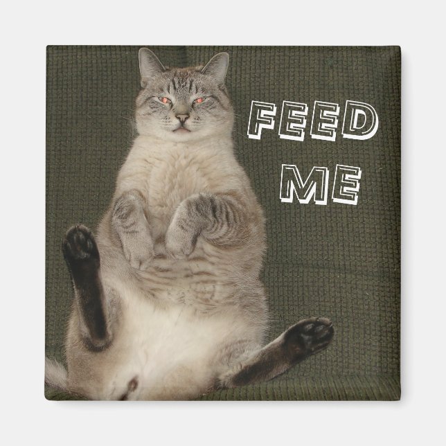 Chat "FEED ME" Magnet Carré (Devant)