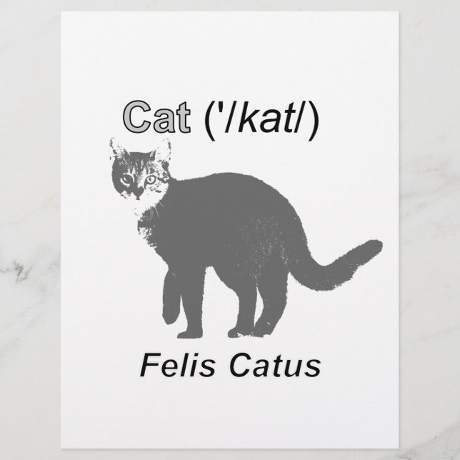 Chat Felis Catus (Devant)