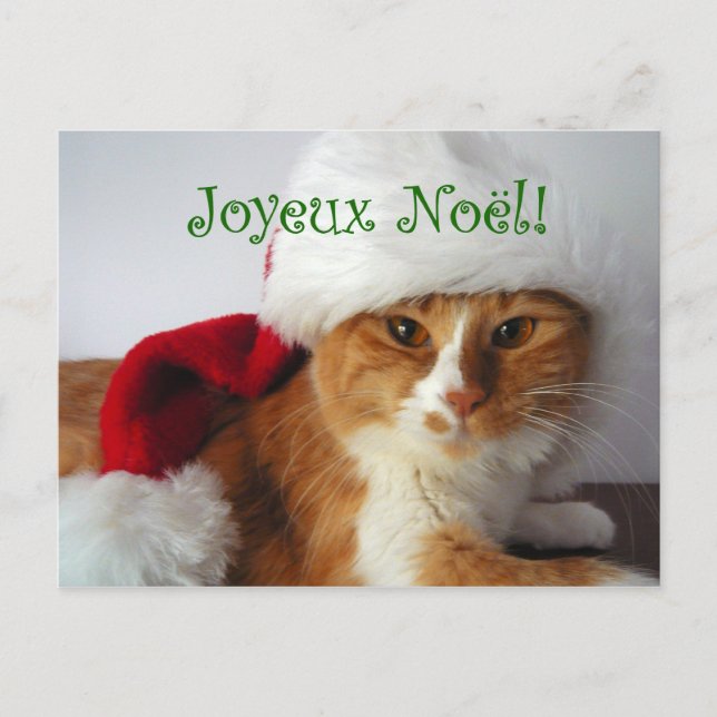 Chat français de salutation en carte postale de (Devant)