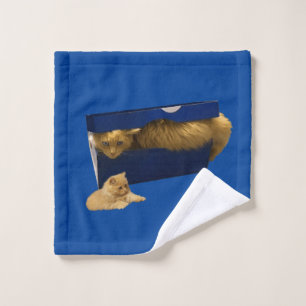 Chat Gingembre Drôle Dans Une Boîte À Chaussure, L