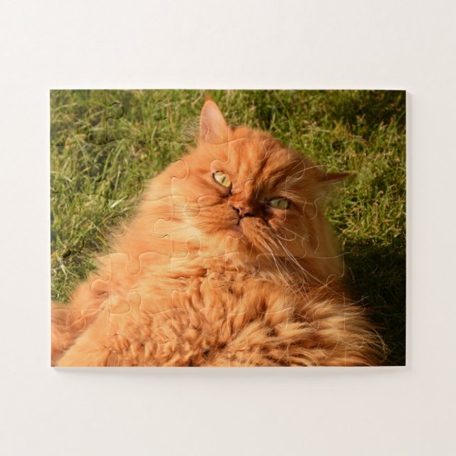 CHAT GINGER PERSIAN JIGSAW PUZZLE (Horizontal)