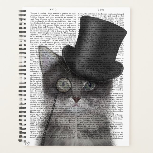 Chat gris avec chapeau supérieur (Devant)