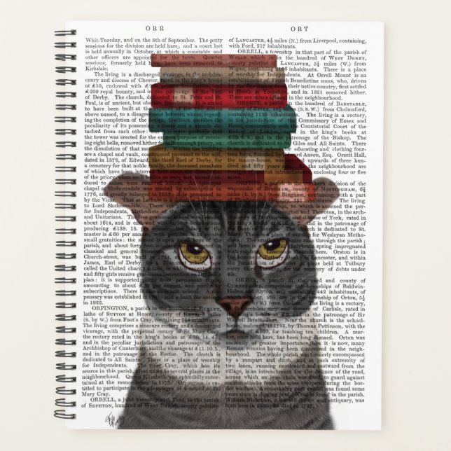 Chat gris avec des livres sur la tête (Devant)