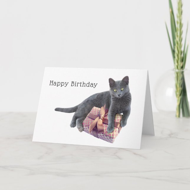 Chat gris avec la carte d'anniversaire actuelle (Devant)