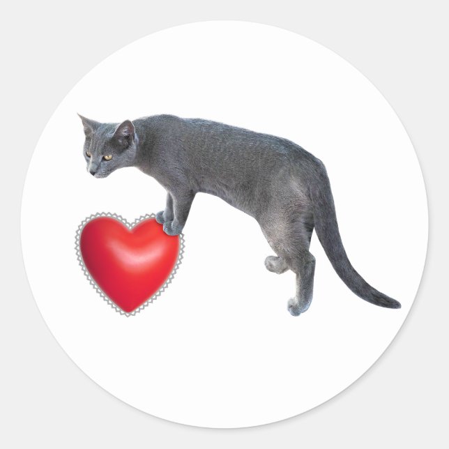 Chat gris avec Stickers Coeur Rouge (Devant)