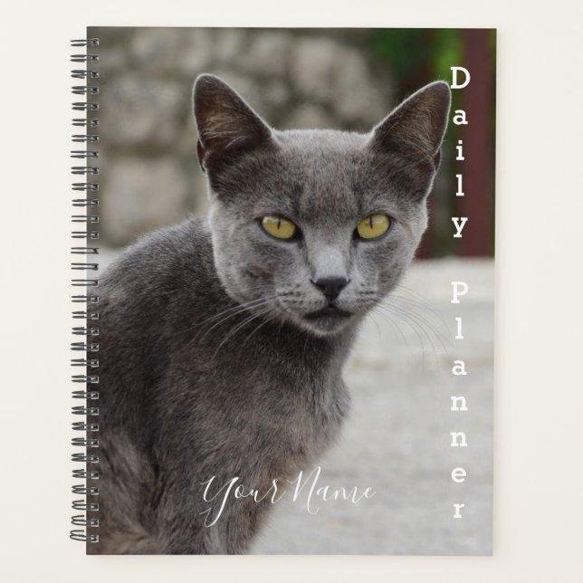 Chat gris Chartreux - Planificateur quotidien - HA (Devant)
